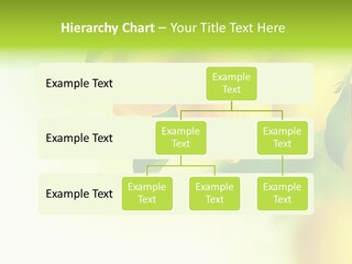 A Group Of Lemons Hanging From A Tree PowerPoint Template