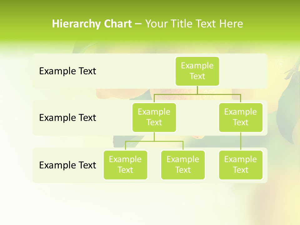 A Group Of Lemons Hanging From A Tree PowerPoint Template