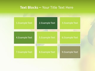 A Group Of Lemons Hanging From A Tree PowerPoint Template