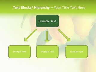 A Group Of Lemons Hanging From A Tree PowerPoint Template