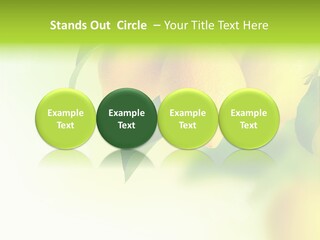 A Group Of Lemons Hanging From A Tree PowerPoint Template