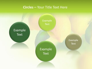 A Group Of Lemons Hanging From A Tree PowerPoint Template