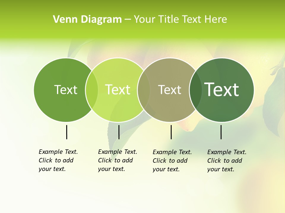 A Group Of Lemons Hanging From A Tree PowerPoint Template