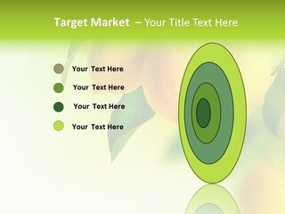 A Group Of Lemons Hanging From A Tree PowerPoint Template