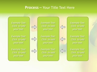 A Group Of Lemons Hanging From A Tree PowerPoint Template