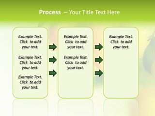 A Group Of Lemons Hanging From A Tree PowerPoint Template
