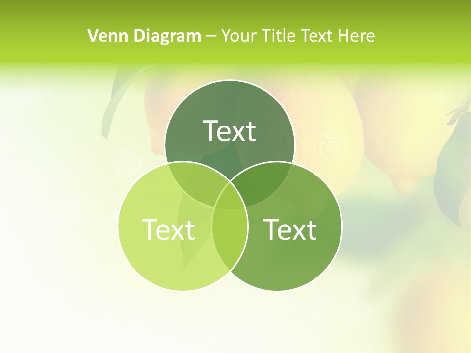 A Group Of Lemons Hanging From A Tree PowerPoint Template