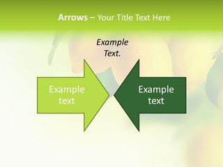 A Group Of Lemons Hanging From A Tree PowerPoint Template