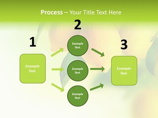 A Group Of Lemons Hanging From A Tree PowerPoint Template