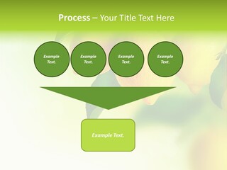 A Group Of Lemons Hanging From A Tree PowerPoint Template