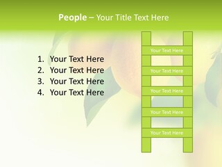 A Group Of Lemons Hanging From A Tree PowerPoint Template