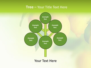 A Group Of Lemons Hanging From A Tree PowerPoint Template