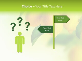 A Group Of Lemons Hanging From A Tree PowerPoint Template