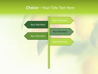 A Group Of Lemons Hanging From A Tree PowerPoint Template