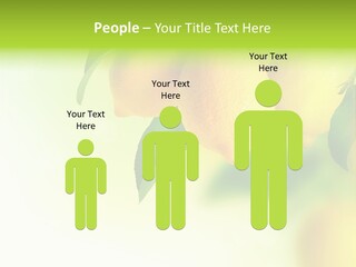 A Group Of Lemons Hanging From A Tree PowerPoint Template