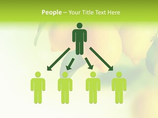 A Group Of Lemons Hanging From A Tree PowerPoint Template