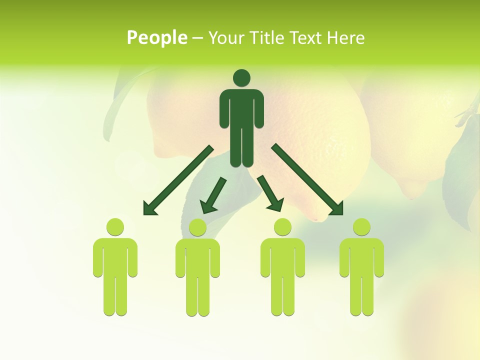 A Group Of Lemons Hanging From A Tree PowerPoint Template