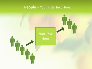 A Group Of Lemons Hanging From A Tree PowerPoint Template