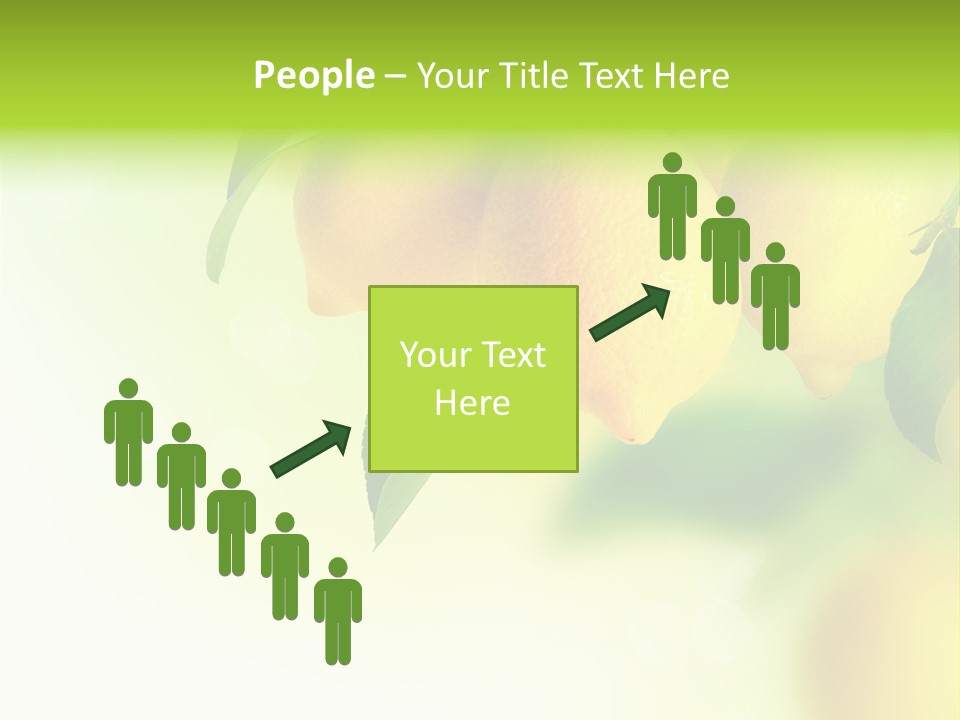 A Group Of Lemons Hanging From A Tree PowerPoint Template