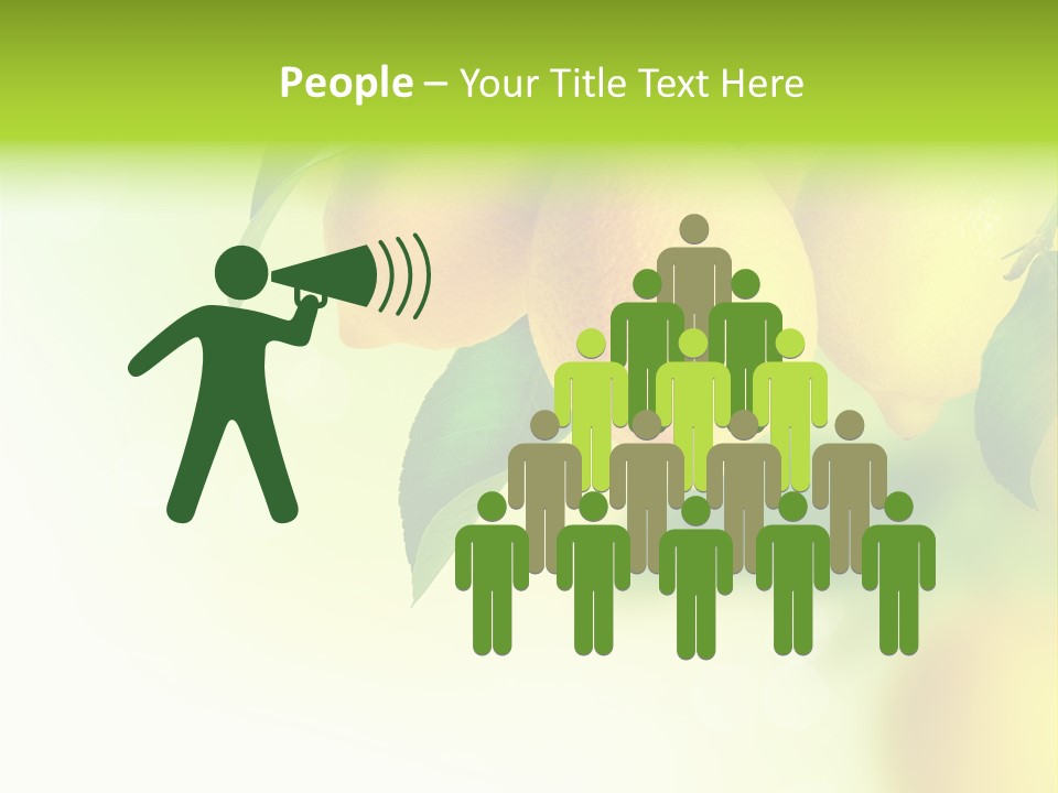 A Group Of Lemons Hanging From A Tree PowerPoint Template