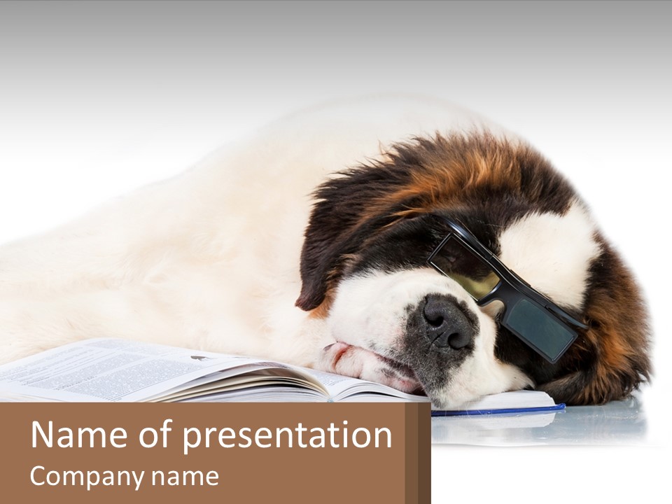 A Dog Laying Down With A Book And A Cell Phone PowerPoint Template