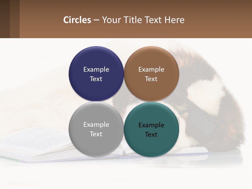 A Dog Laying Down With A Book And A Cell Phone PowerPoint Template