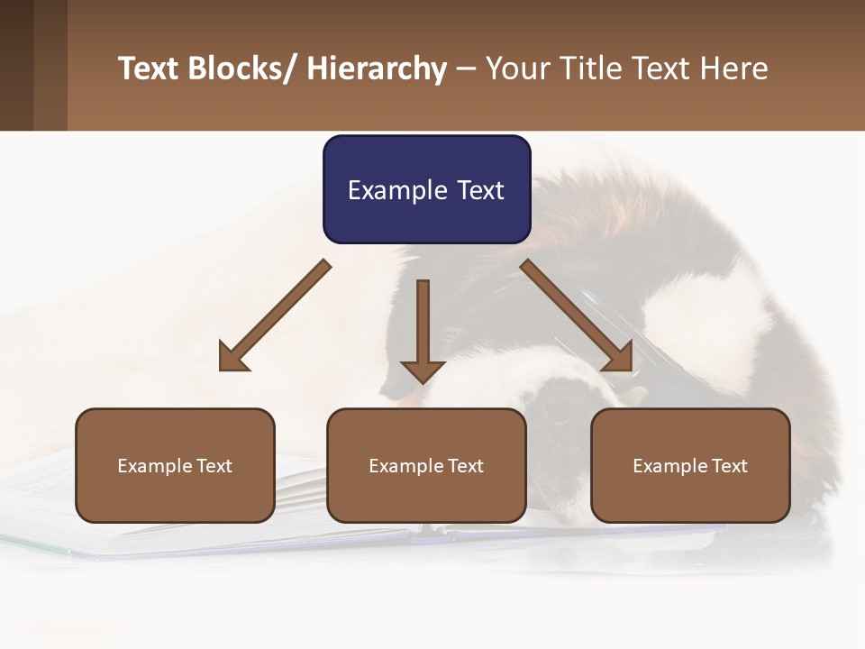 A Dog Laying Down With A Book And A Cell Phone PowerPoint Template