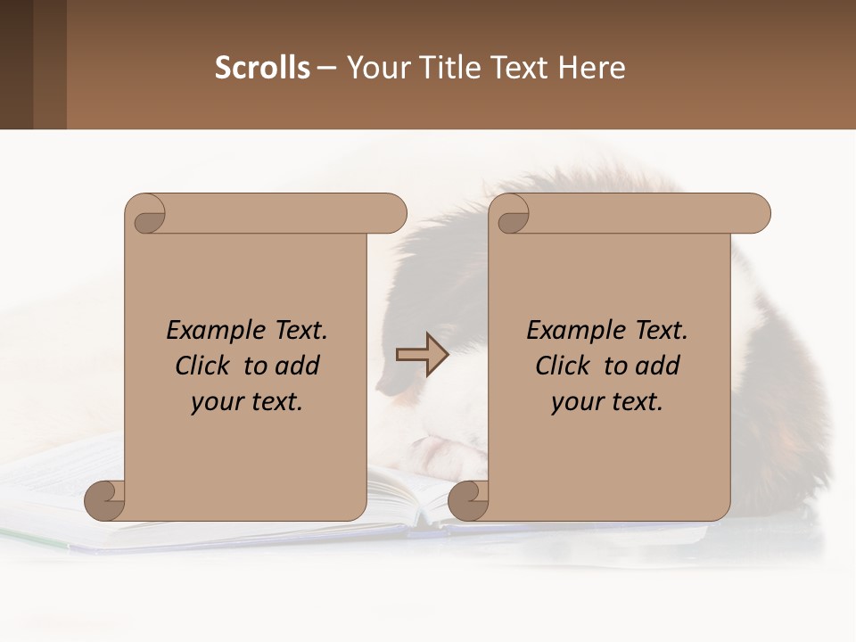 A Dog Laying Down With A Book And A Cell Phone PowerPoint Template