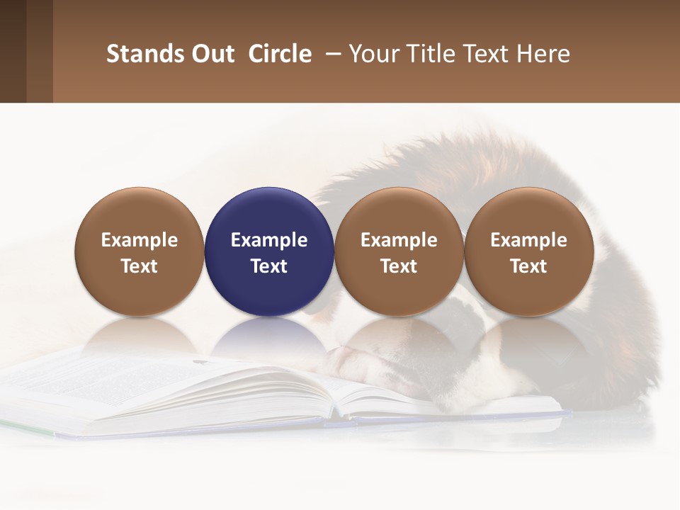 A Dog Laying Down With A Book And A Cell Phone PowerPoint Template