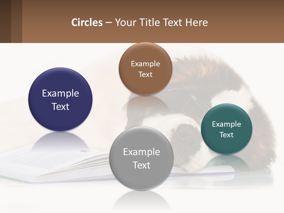 A Dog Laying Down With A Book And A Cell Phone PowerPoint Template