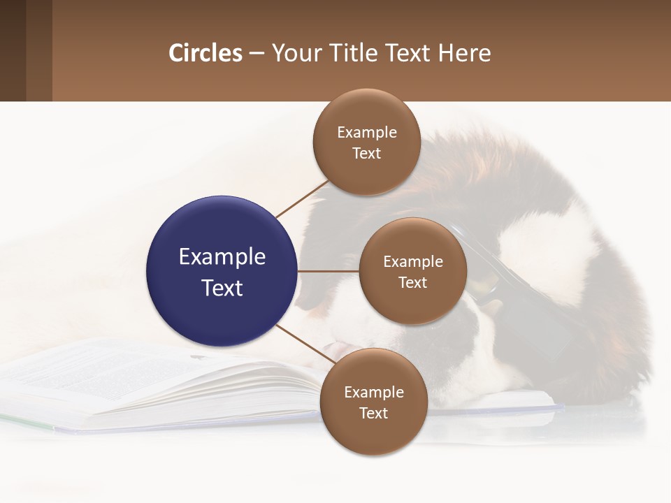 A Dog Laying Down With A Book And A Cell Phone PowerPoint Template