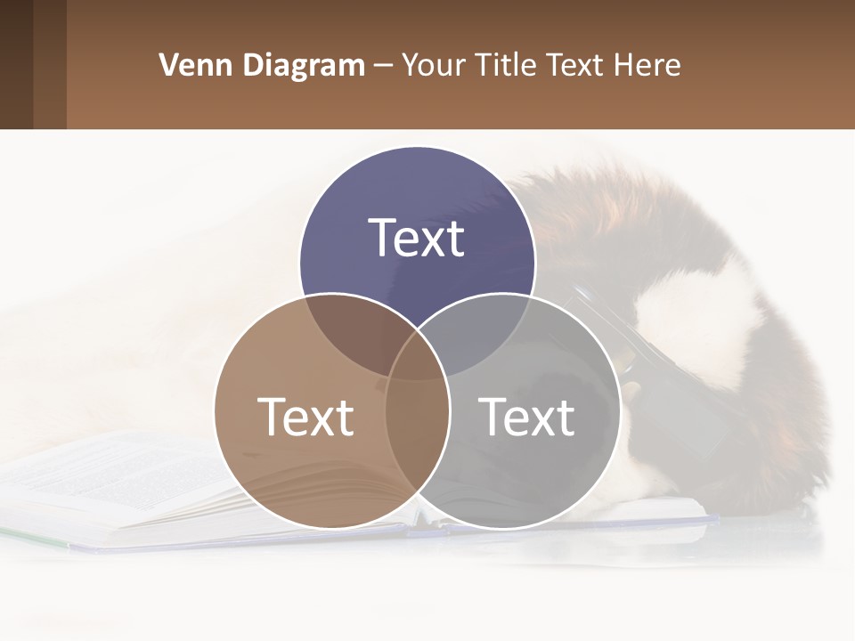 A Dog Laying Down With A Book And A Cell Phone PowerPoint Template