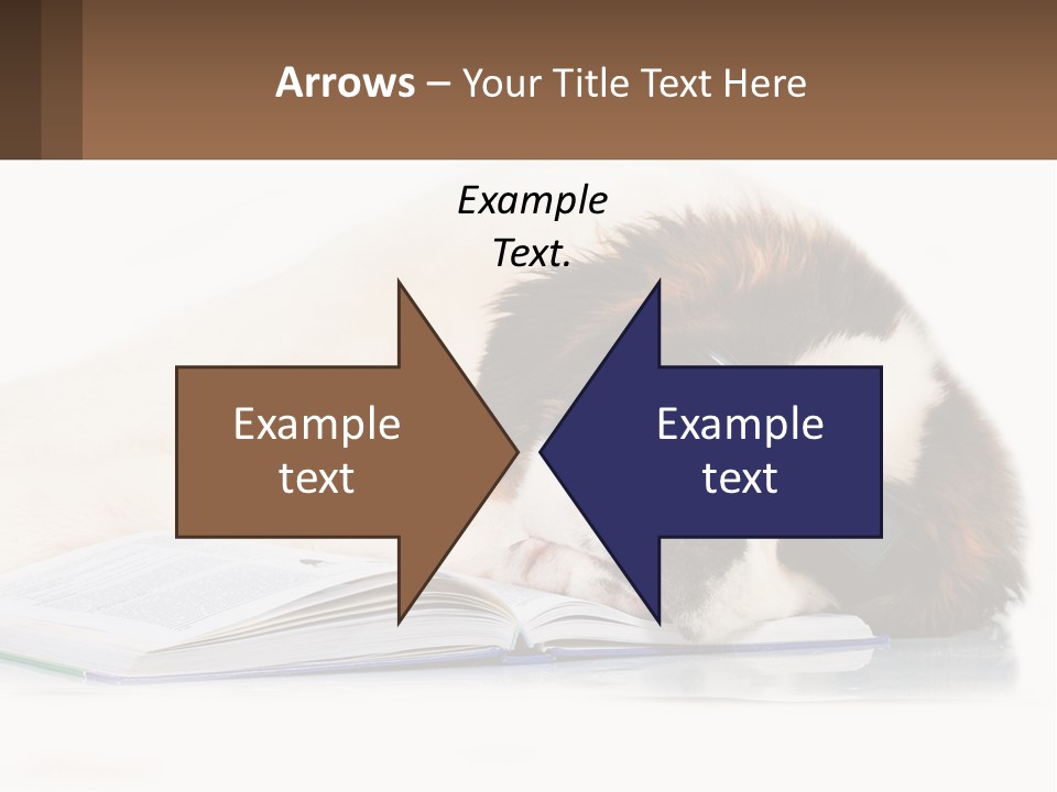 A Dog Laying Down With A Book And A Cell Phone PowerPoint Template