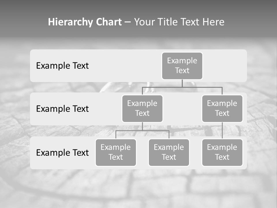 Two Wedding Rings Sitting On Top Of A Brick Floor PowerPoint Template