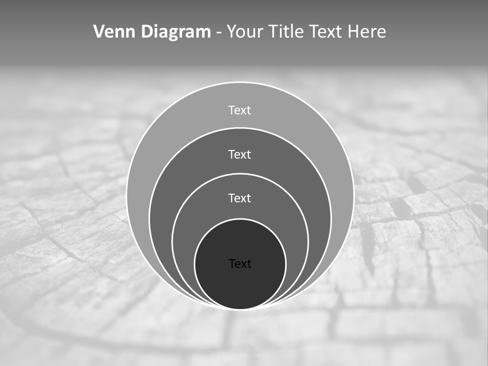 Two Wedding Rings Sitting On Top Of A Brick Floor PowerPoint Template