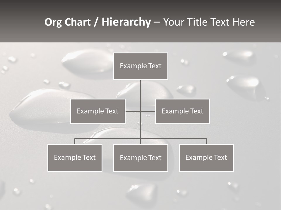 A Group Of Drops Of Water On A Surface PowerPoint Template