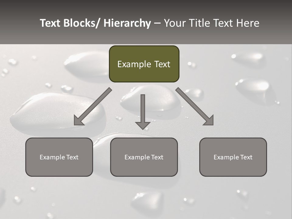 A Group Of Drops Of Water On A Surface PowerPoint Template