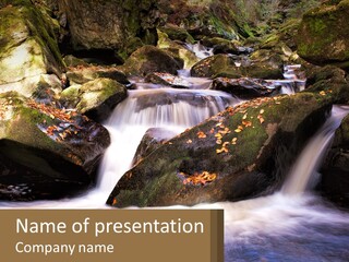 A Stream Of Water Surrounded By Rocks And Leaves PowerPoint Template