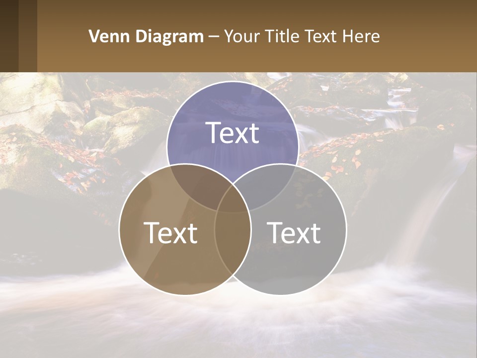 A Stream Of Water Surrounded By Rocks And Leaves PowerPoint Template