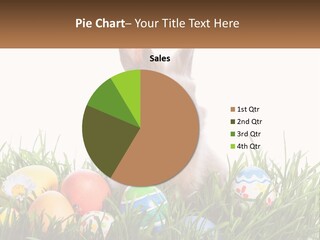 A Bunny Sitting In The Grass With Some Eggs PowerPoint Template
