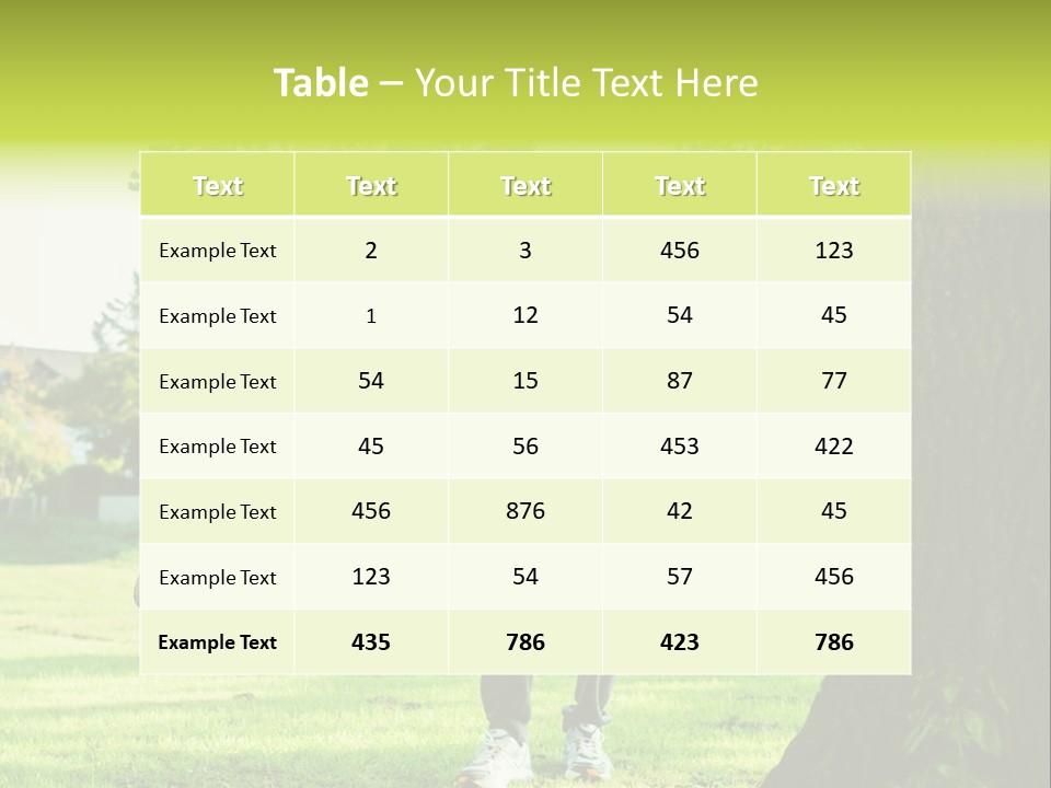 A Man And A Woman Playing With A Ball In A Park PowerPoint Template