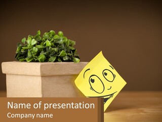 A Potted Plant With A Face Drawn On It PowerPoint Template