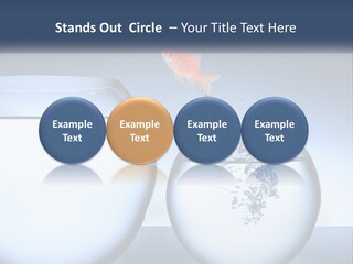 A Goldfish Jumping Out Of A Bowl Of Water PowerPoint Template
