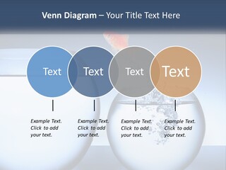 A Goldfish Jumping Out Of A Bowl Of Water PowerPoint Template