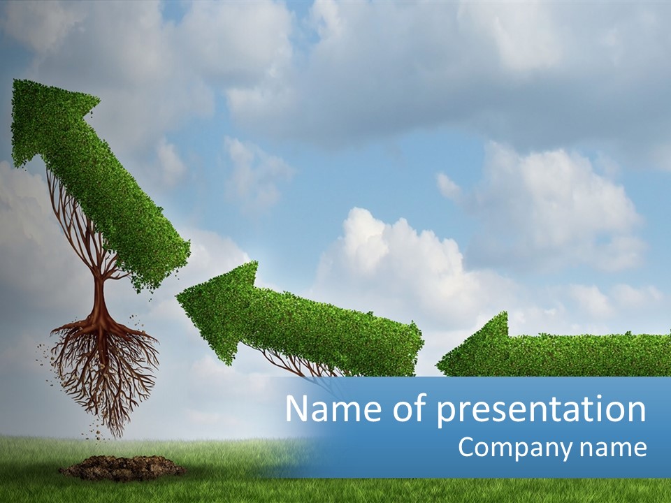 A Group Of Trees With A Sky Background PowerPoint Template