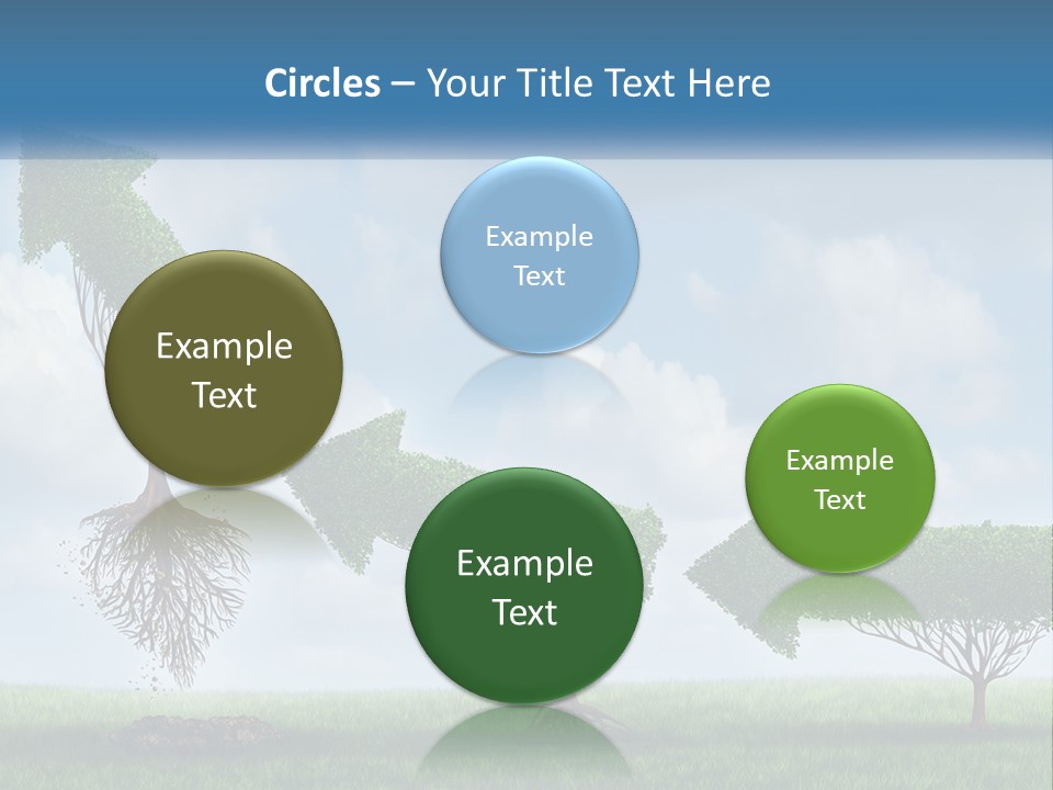 A Group Of Trees With A Sky Background PowerPoint Template