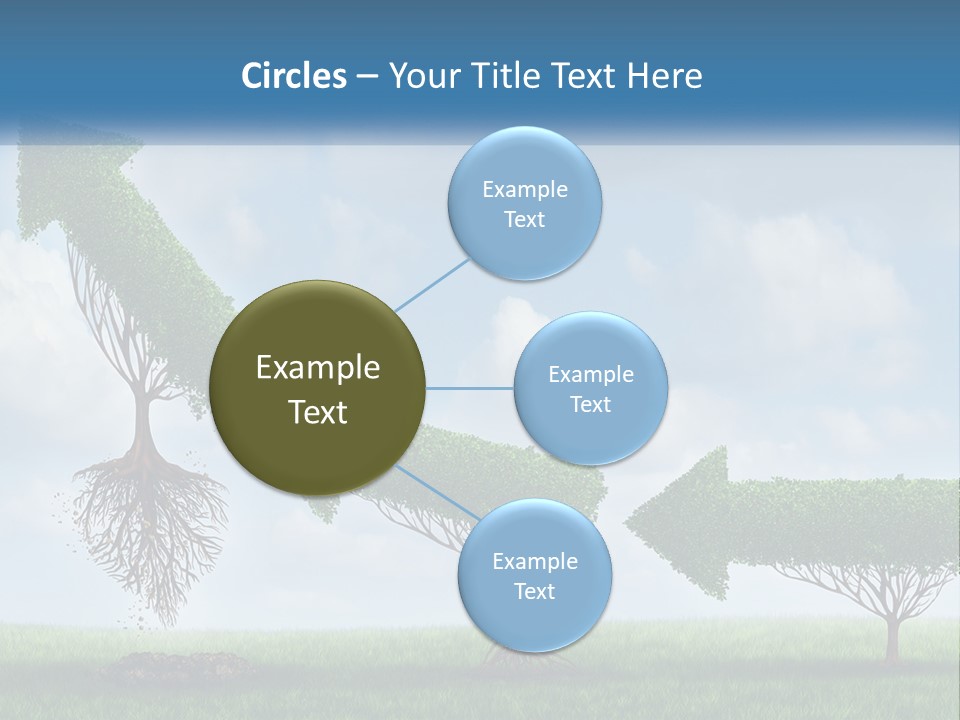 A Group Of Trees With A Sky Background PowerPoint Template