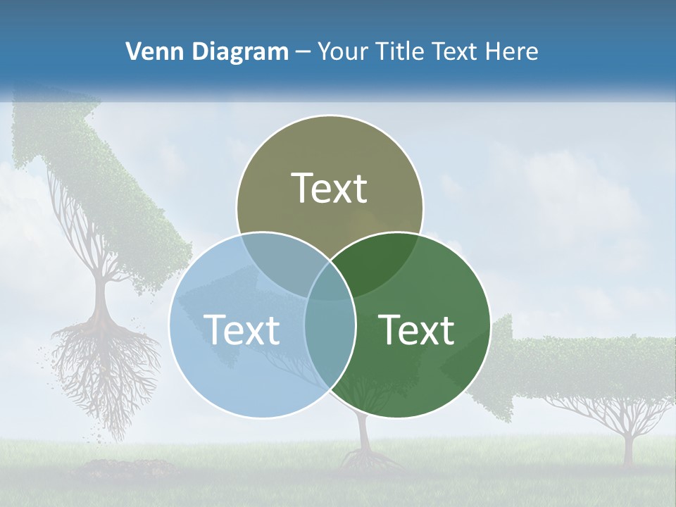 A Group Of Trees With A Sky Background PowerPoint Template
