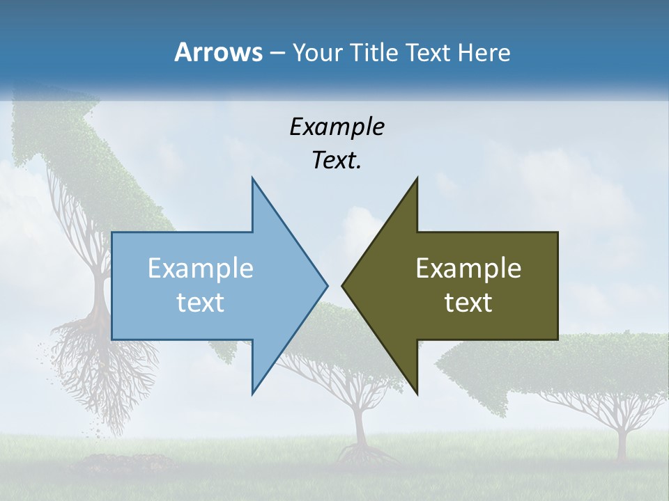 A Group Of Trees With A Sky Background PowerPoint Template