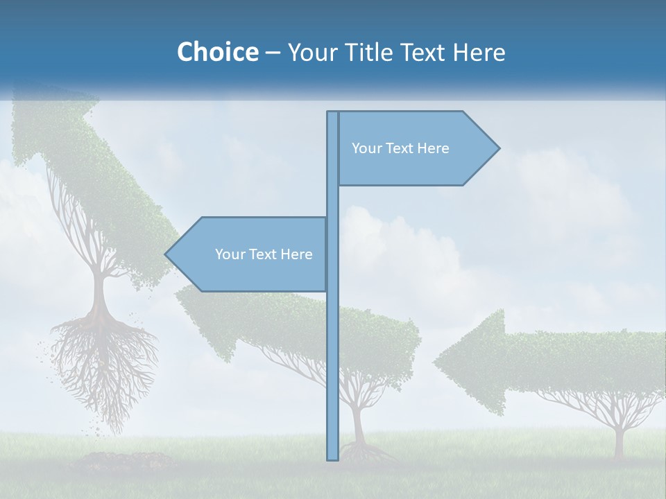 A Group Of Trees With A Sky Background PowerPoint Template